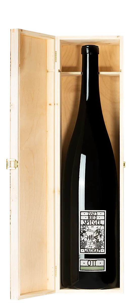 Ried SPIEGEL Methusalem – Bild 3