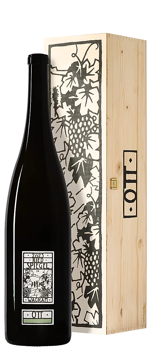 Ried SPIEGEL Methusalem